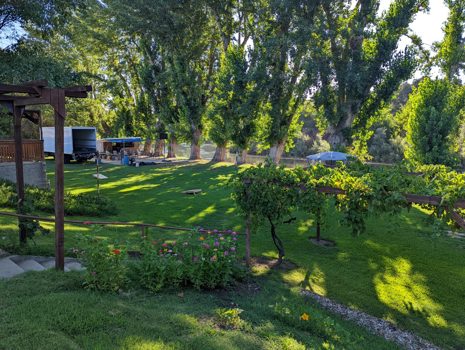 The shaded lawn and grapevine pergola at Hauli Huvila, river beyond